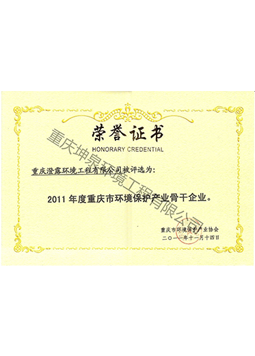 2011年度环保骨干企业证书