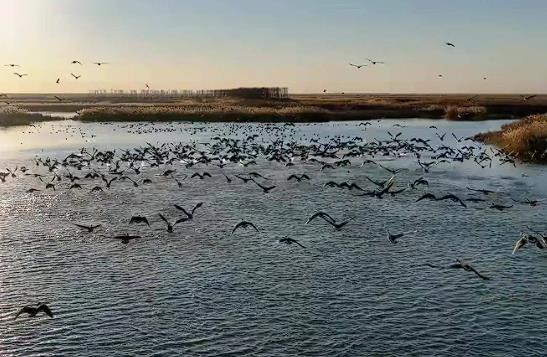 生态环境部：长江干流连续6年保持Ⅱ类水质，水生态“家底”基本摸清